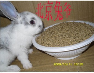 包邮钢琴兔vc多饲料荷兰猪粮食除臭配方500g成兔粮买3斤送一斤