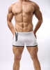 braveperson外贸男士泳裤运动健身短裤纯色平角裤
