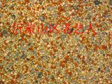 taobao english 15786424348