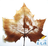 新兴手工艺术*树叶雕刻画-祷告*田园装饰品*基督教纪念品/礼品