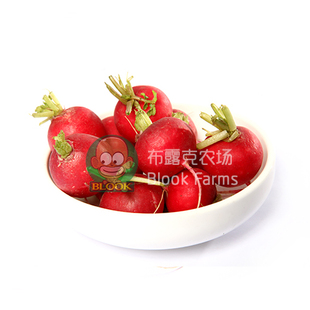  樱桃萝卜新鲜 蔬菜沙拉色拉 小萝卜 迷你萝卜 中西餐开胃小点心