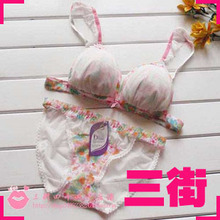 花的海洋~ 柔美舒适双层蕾丝内衣套装/比基尼式文胸内衣套装
