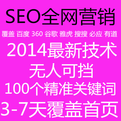 2014最新全网营销百度360搜索SEO企业网站