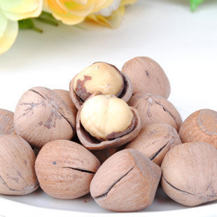  【全场满45元包邮】东北榛子 坚果榛子 滋养气血 250克