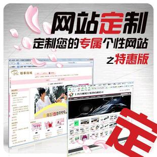 英文产品展示网站 个性定制 全款1000元