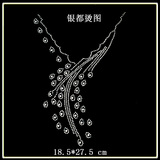 taobao english 13805755596