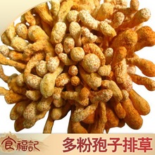 虫草花包邮虫草花新会虫草花正品虫草花特级虫草花孢子头胜北虫草