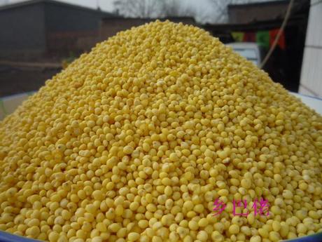 2013年新米山西农家特产 大黄米 黄糯米 糜米杂
