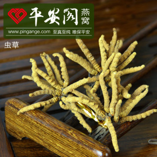  【平安阁】冬虫夏草 新品 正宗精选西藏产地 精品虫草 5条/g 特价