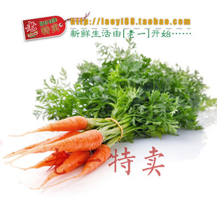  老一特卖  新鲜 蔬菜 带叶 小胡萝卜 手指胡萝卜9元500g