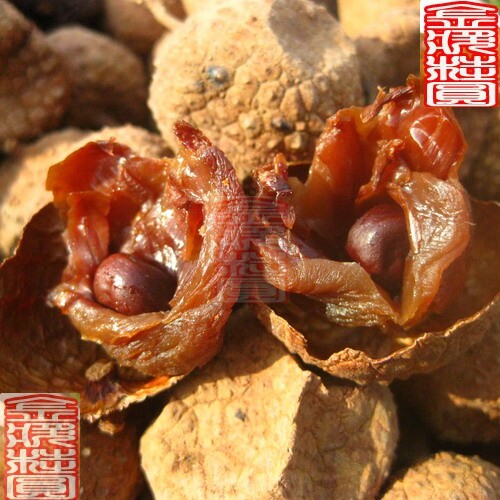 A新鲜荔枝干果 特级 肉质好 带壳原色桂味小核荔枝干1斤