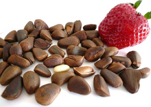 4������ Ұ����������250g �ֹ����ڼ�� �����ز� ��ʳʳƷ