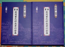 最新实用董氏针灸奇穴全集 董景昌亲授 胡文智著