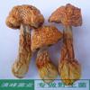 新货姬松茸干货巴西蘑菇云南丽江土特产野生菌味道香浓100克