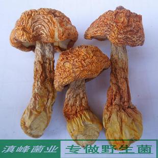 新货姬松茸干货巴西蘑菇云南丽江土特产野生菌味道香浓100克