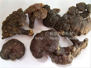  百色深山老林中朵野生灵芝.红灵芝赤芝赤灵芝120元/500克可磨粉