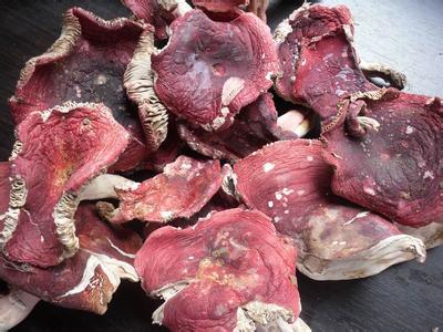 武夷山红菇 三明真红菇批发 养生补血 野生红菇