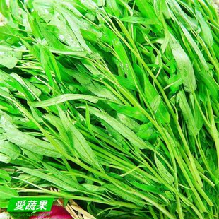  【爱蔬果】绿色食品新鲜蔬菜 空心菜 蕹菜 北京配送