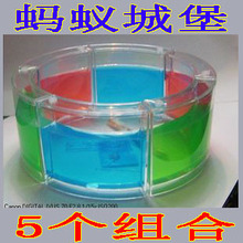 【蚂蚁城堡 大号蚂蚁工坊房屋5个组合 送80只蚂蚁 蚁后群专用】