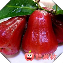 新鲜水果台湾莲雾[限广州，店员配送，无条件退换]