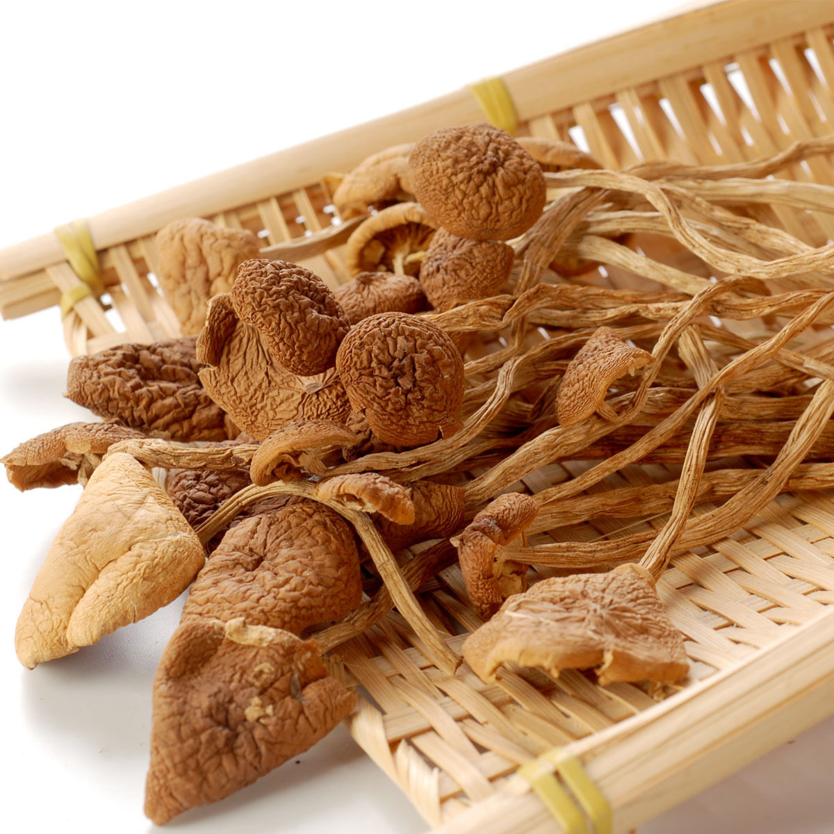 【百山祖】 无根 茶树菇 庆元干货/菌菇 特产 煲汤佳品 健康食材