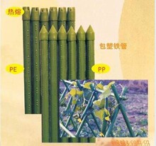 阳台种菜 园艺支柱 包塑钢管 爬藤支架长1.8米 10根起315g