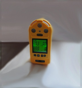 澳洲新仪器EM-4 四合一气体检测仪 一氧化碳
