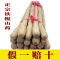 怀康自种 2012新鲜铁棍山药顶级 焦作温县铁棍怀山药 淮山药铁棍
