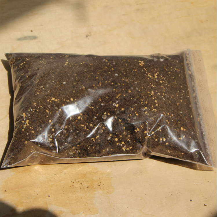 Well Succulent Planting soil Sure direct Lithopsin the Flower delivery/Flowers simulation/Plants gardening , Gardening supplies , Gardening Fertilizer/Nutrient/Nutrient solution category - from Buy2taobao.com to provide professional Taobao agent buy service
