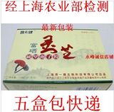 taobao english 10199014752