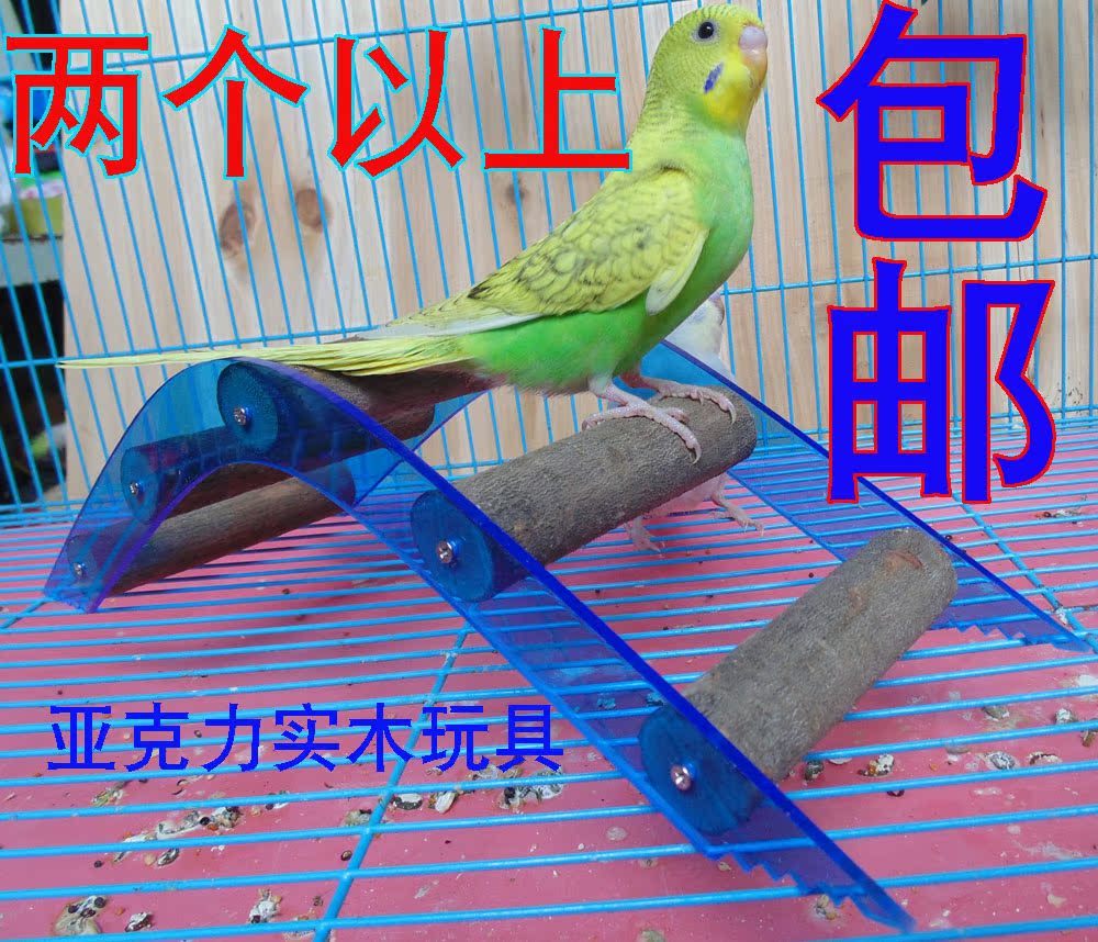 鹦鹉鸟玩具梯子/鸟木头玩具/亚克力玩具/摸抓玩具/鸟站架/鸟站棍在类目 宠物/宠物食品及用品, 鸟类及用品, 鸟用具(新), 秋千中 - 来自Buy2taobao.com提供专业的淘宝代购服务