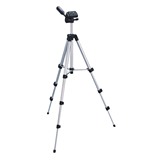 taobao english 7424310219
