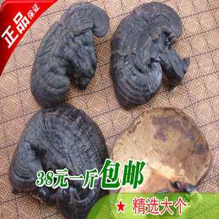  特产通化 长白山原生态灵芝 半野生 紫灵芝500克 精选大个头 包邮