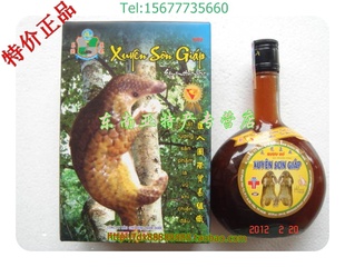  越南进口穿山甲滋补药酒420ML 保健酒养生通经络活气血补酒礼品