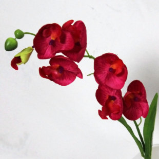  草夕街  高仿真花 塑料 假花 人造绢花 客厅家居装饰 小蝴蝶兰