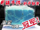 特价大号蚂蚁工坊蚂蚁家园新年生日礼物创意礼品新奇儿童玩具女友