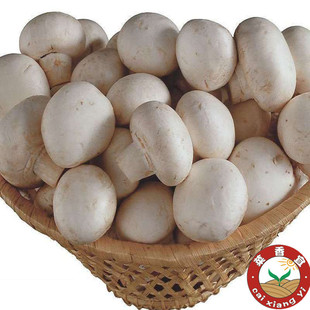  绿色食品新鲜蔬菜 口蘑菇 白蘑菇新鲜蘑菇 今日特价秒杀菜市场