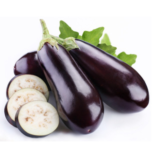  中国有机绿色食品专营 天地生 有机长茄子500g 北京满百包邮