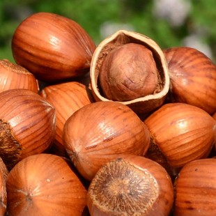  特产坚果零食 东北干果 美国大榛子 不开口榛子 2斤包邮