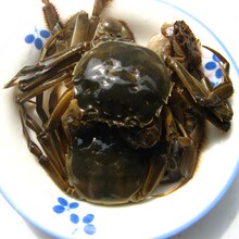 宁波特产 醉蟹 酱蟹 大闸蟹 醉河蟹 酱毛蟹 比陆龙好吃不很咸膏多