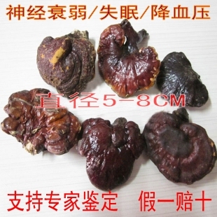  野生灵芝 赤灵芝/红灵芝 深山野生灵芝 防癌抗衰老 5-8CM
