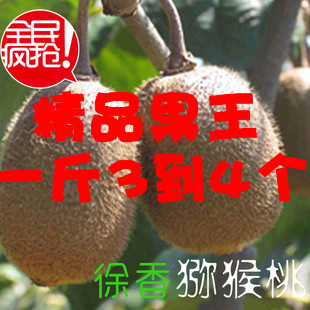  正宗江山徐香猕猴桃 果王 新鲜水果 一斤3到4个江浙沪皖十斤包邮