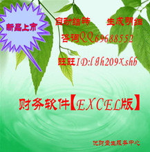 店主极力推荐 钻石信誉 特价财务软件（EXCEL)版