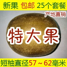 淘宝金冠品质产品罗汉果 特大果 包邮 桂林永福 罗汉果茶 咽炎 新鲜新果 内含25个