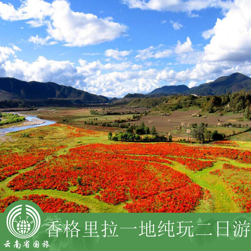 香格里拉一地纯玩2日精品游/云南旅游团/香格里拉纯玩旅游 香格里拉一地纯玩2日精品游/云南旅游团/香格里拉纯玩旅游