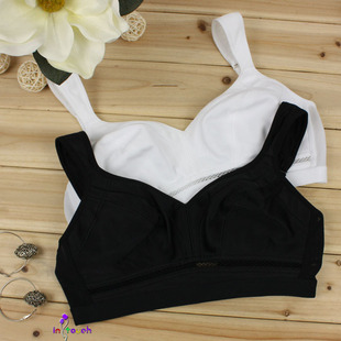 外贸原单 舒适无钢圈运动<em>文胸</em>70<em>A70</em>B75<em>A75</em>B
