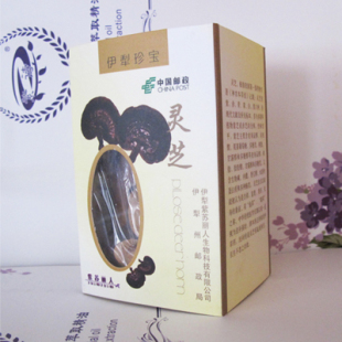  伊犁珍宝 灵芝片 推荐