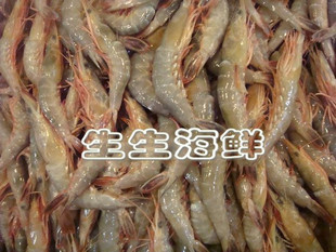  舟山特产海鲜 /鲜活皮虾/水产品 一斤55死的 鲜度很好