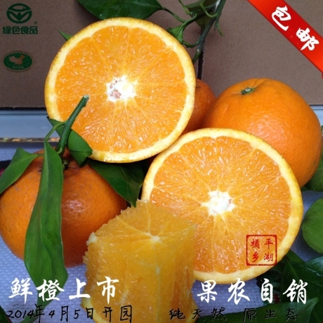 [售罄]橙子 甜橙 伦晚 新鲜水果 超赣南秭归脐橙