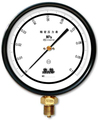 Double needle Pressure gauge     YZS-102   1 level   Shanghai No.4 Automation Instrument Factory   Baiyun card quality goods